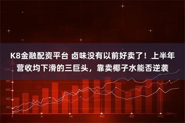 K8金融配资平台 卤味没有以前好卖了！上半年营收均下滑的三巨头，靠卖椰子水能否逆袭