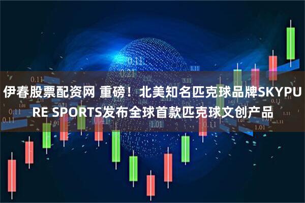 伊春股票配资网 重磅！北美知名匹克球品牌SKYPURE SPORTS发布全球首款匹克球文创产品